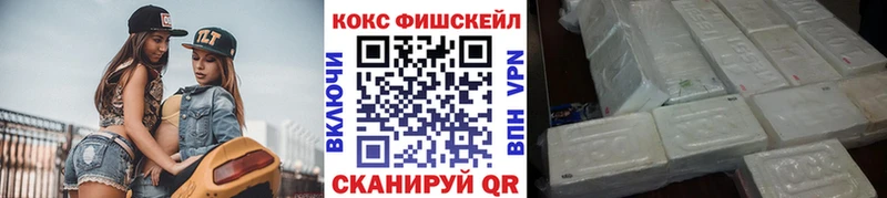COCAIN Fish Scale  цены   Благодарный 