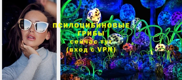 шишки Балахна