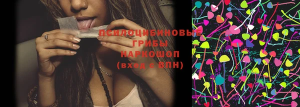 шишки Балахна