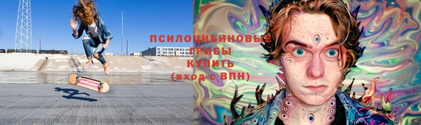шишки Балахна