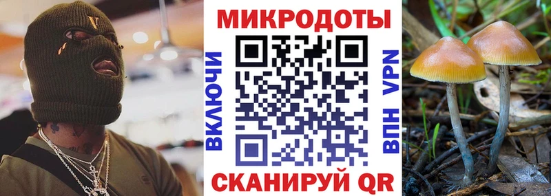 MEGA маркетплейс Благодарный Псилоцибиновые грибы Magic Shrooms что такое